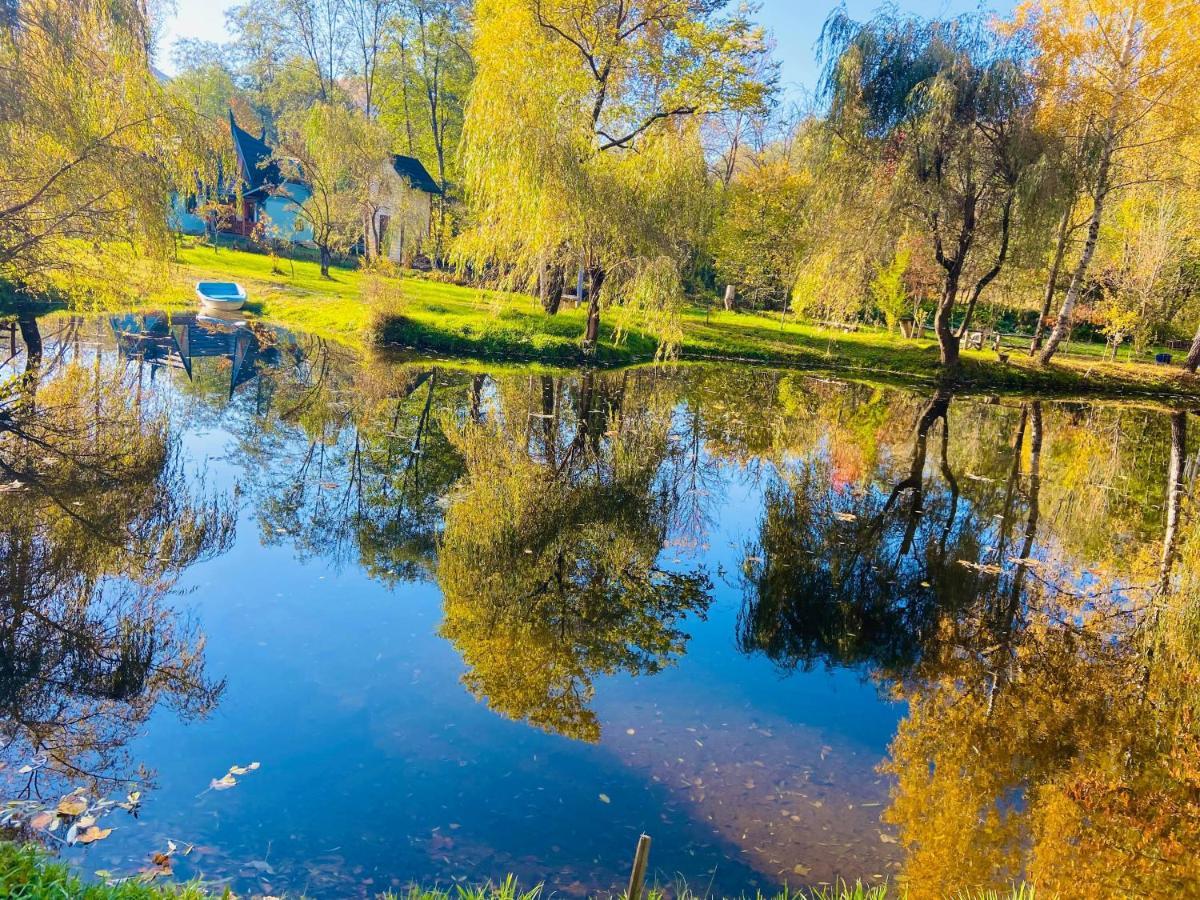 Viewtopia The Secret Land Valea Drăganului Dış mekan fotoğraf