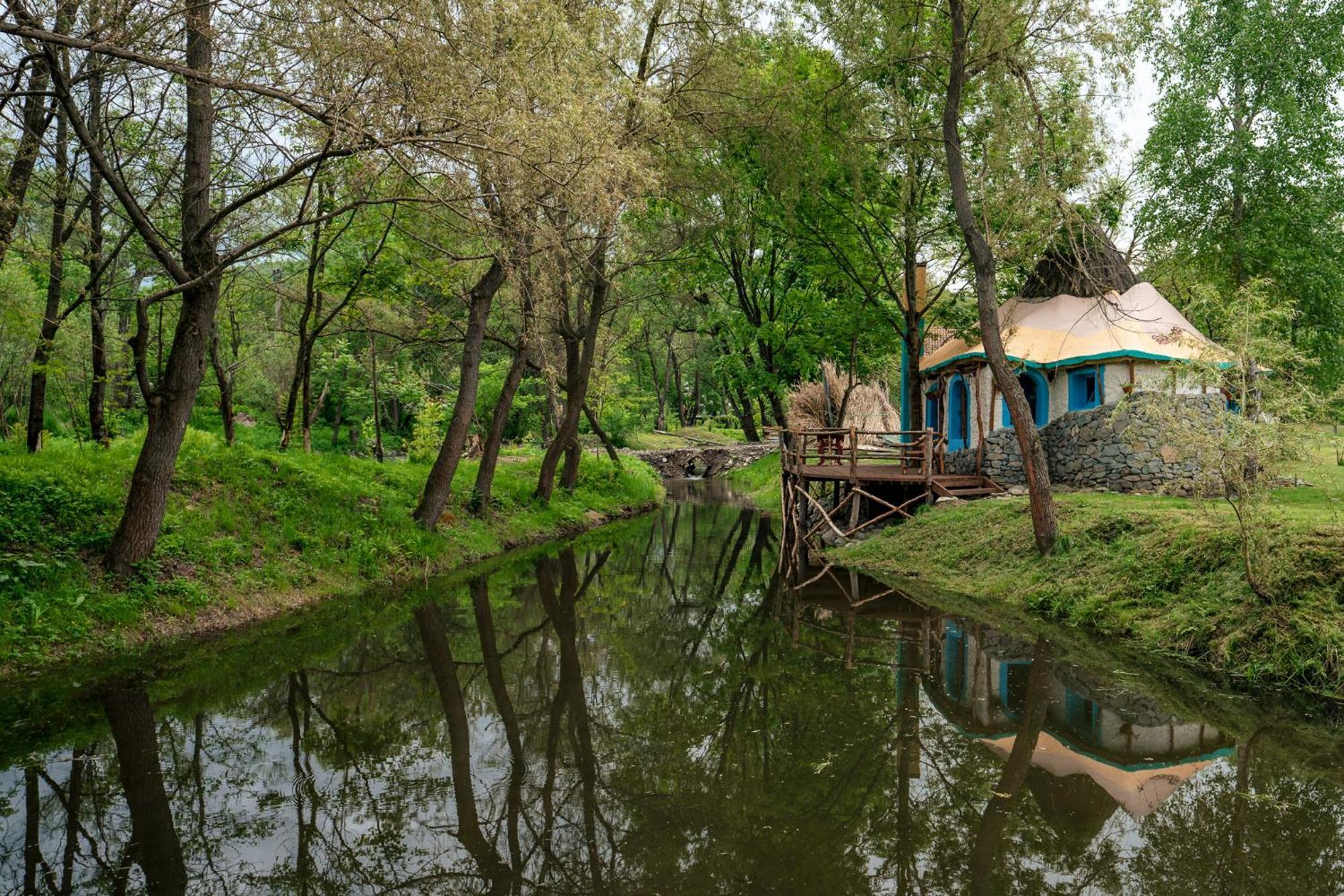 Viewtopia The Secret Land Valea Drăganului Dış mekan fotoğraf