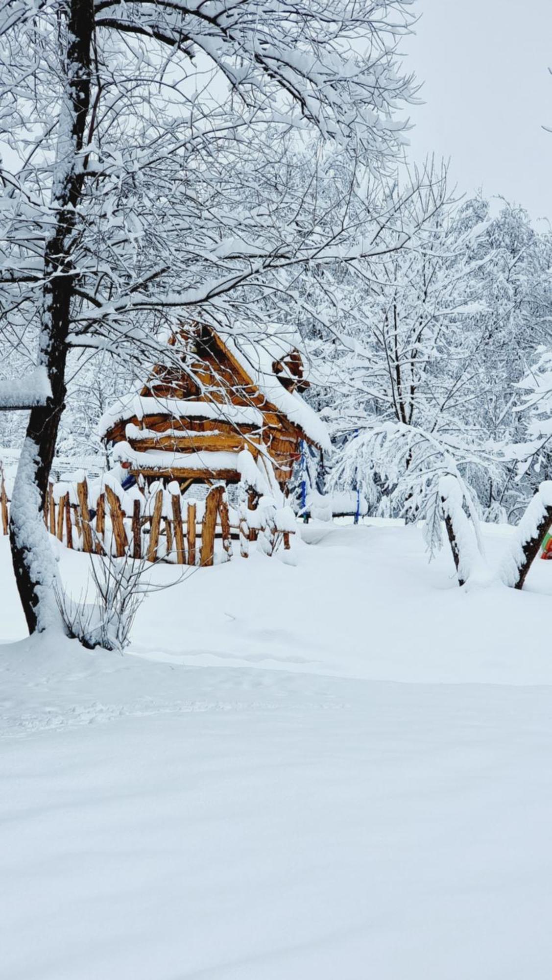 Viewtopia The Secret Land Valea Drăganului Dış mekan fotoğraf