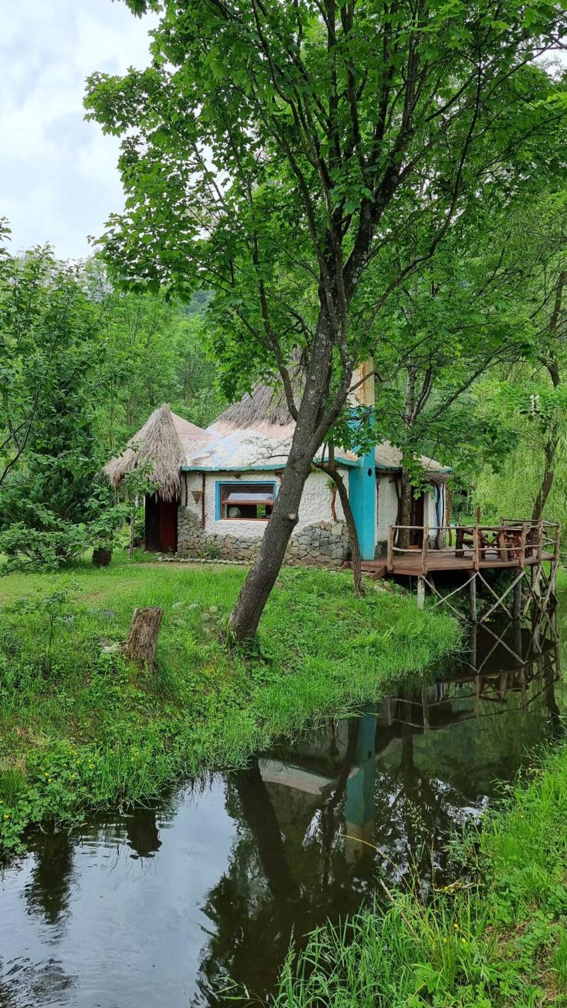 Viewtopia The Secret Land Valea Drăganului Dış mekan fotoğraf